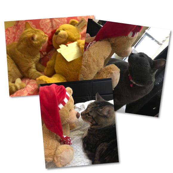 ❤️Welcome to my closet!❤️ - Picture 3 of 4